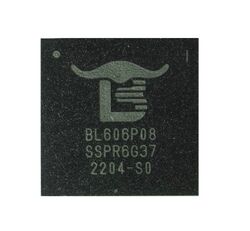 BL606P.jpg